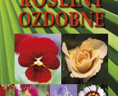 Rośliny ozdobne